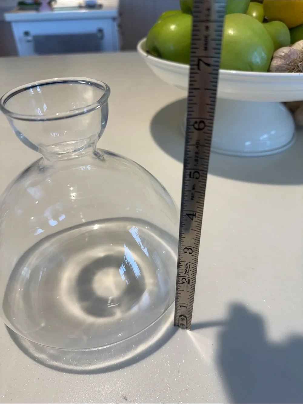 Clear Glass Bulb Vase - Transparent Globe Accent